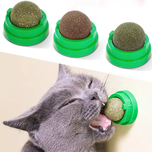 Digestive Catnip Wall Treat